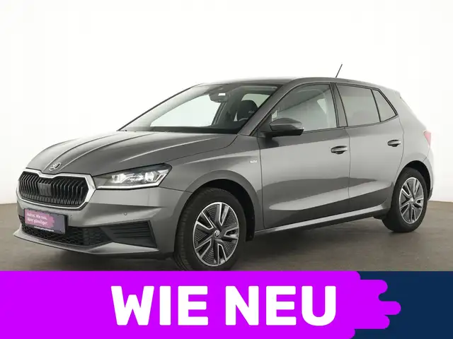 Skoda Fabia Tour PDC|Winter-Paket|LED|NAVI|SHZ