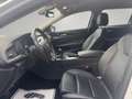 Opel Insignia Sport | Headup | Carplay | Kamera | Blanc - thumbnail 11