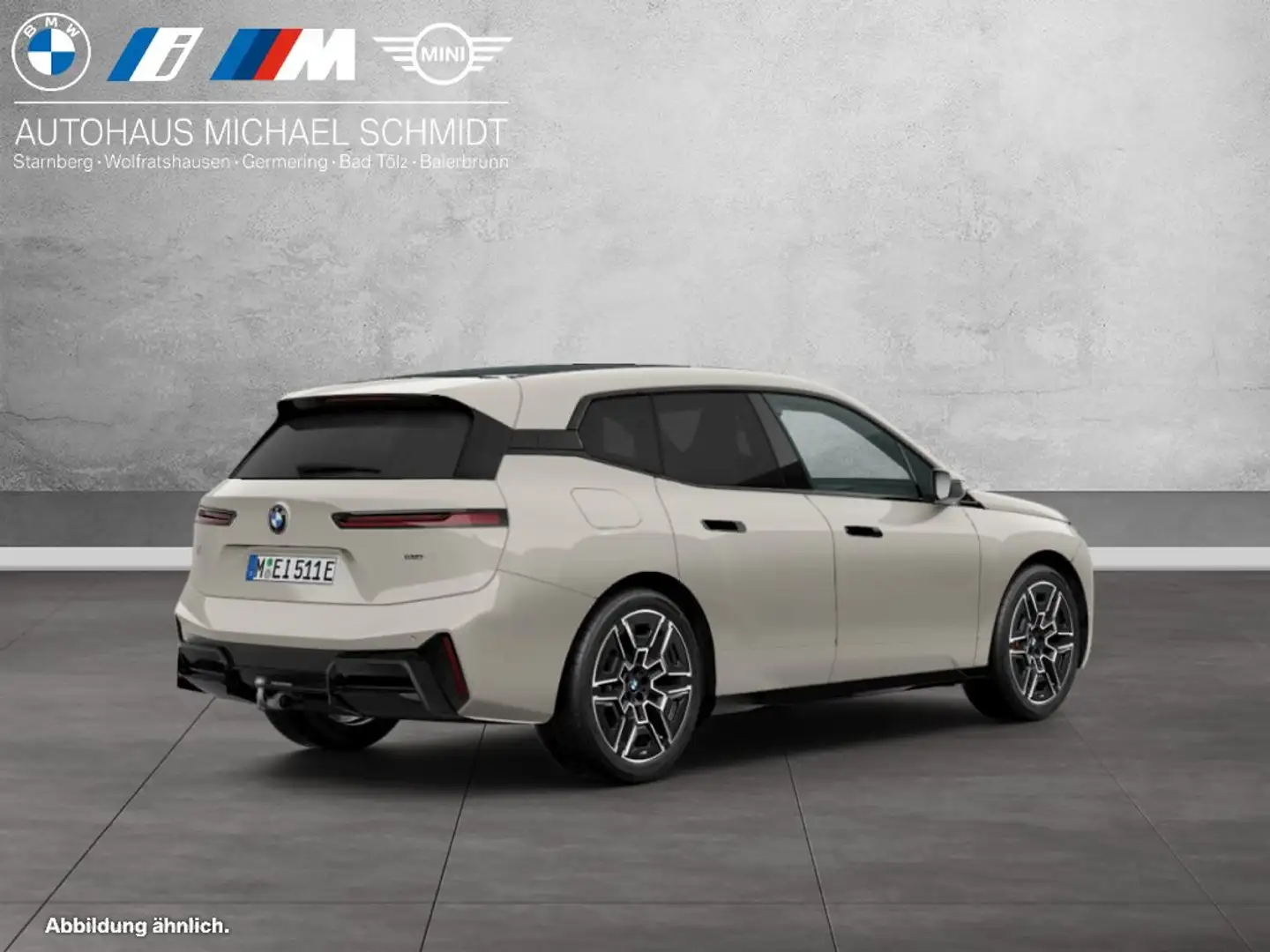 BMW iX xDrive45 M Sportpaket HK HiFi DAB LED Grigio - 2