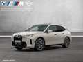 BMW iX xDrive45 M Sportpaket HK HiFi DAB LED Grigio - thumbnail 1
