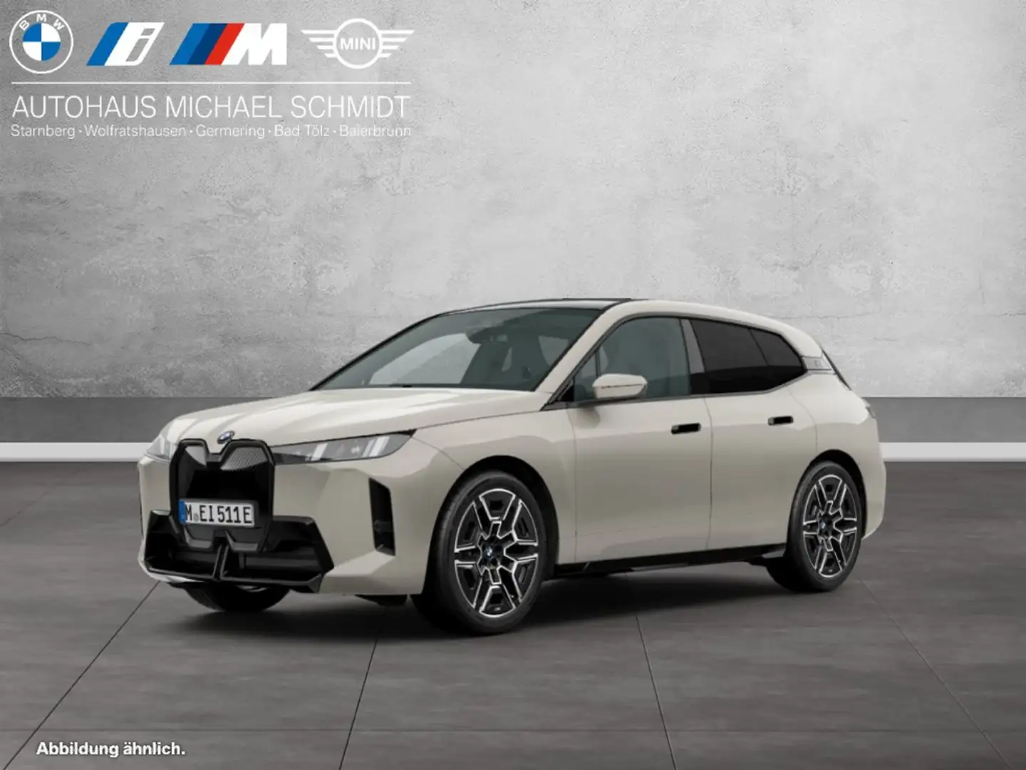 BMW iX xDrive45 M Sportpaket HK HiFi DAB LED Grigio - 1