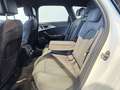 Audi A6 2.0 TDI S Line S Tronic Navi Plus Xenon GRA White - thumbnail 15