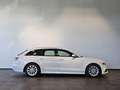 Audi A6 2.0 TDI S Line S Tronic Navi Plus Xenon GRA White - thumbnail 7
