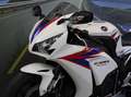 Honda CBR 1000 RR - FIREBLADE  - KM 20740 Bianco - thumbnail 8