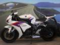 Honda CBR 1000 RR - FIREBLADE  - KM 20740 Bianco - thumbnail 7