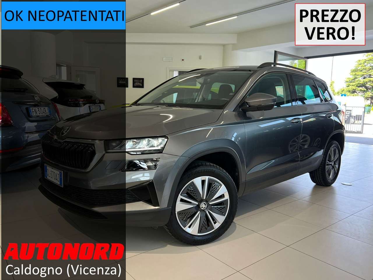 Skoda Karoq Karoq 1.0 TSI 110 CV Executive
