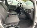 Ford Fiesta Titanium 1.0 EcoBoost M-Hybrid EU6d LED Dyn. Kurve White - thumbnail 10