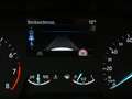 Ford Puma Puma 1.0 EcoBoost Mild-Hybrid 125pk Gris - thumbnail 20