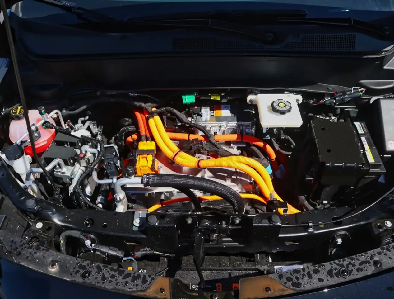 Chevrolet Bolt fotografie Chevrolet Bolt