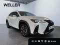 Lexus UX 300h F SPORT Design *LED*Kamera*SHZ*PDC v+h* Weiß - thumbnail 4