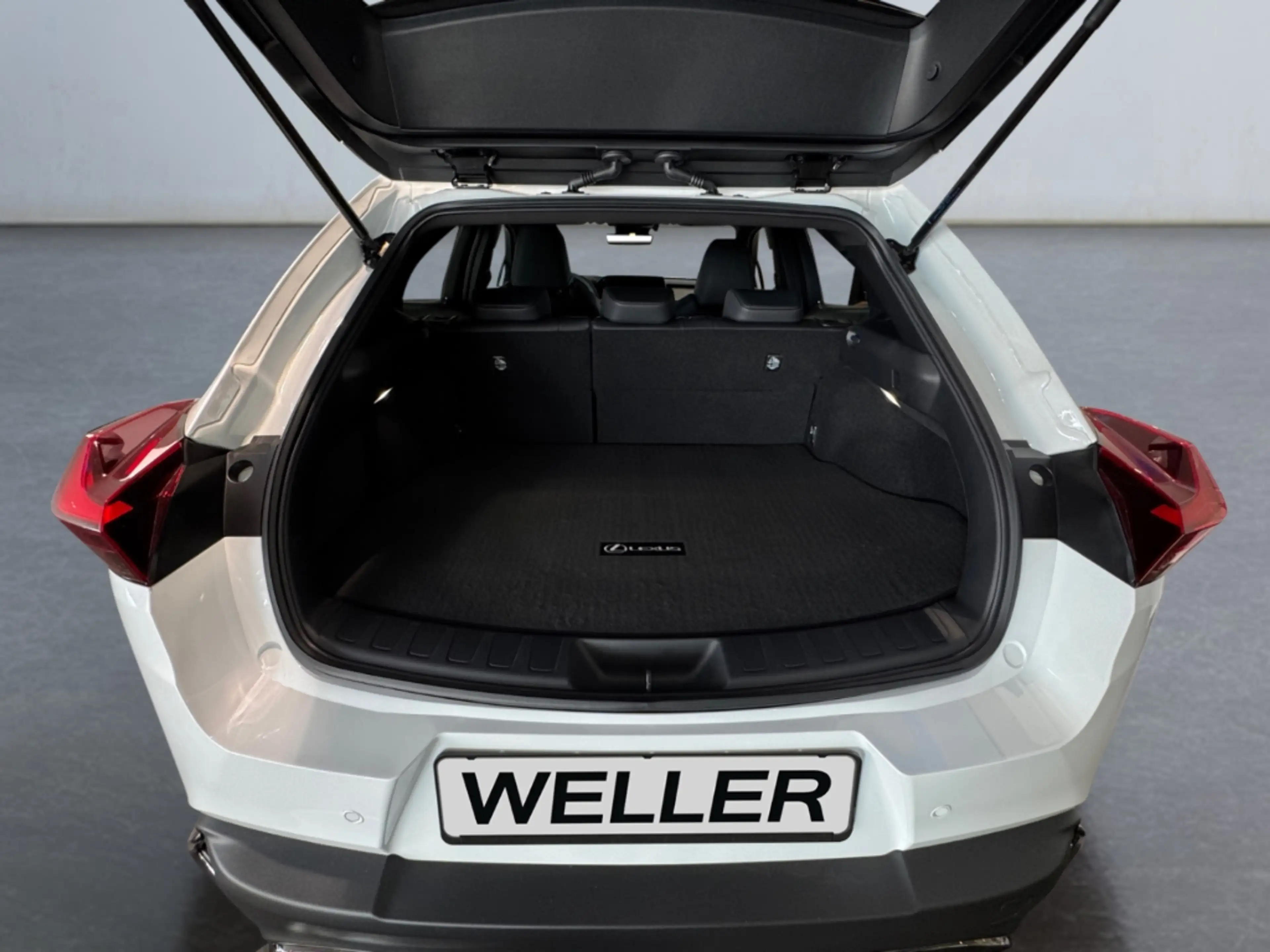 Lexus UX 300h F SPORT Design *LED*Kamera*SHZ*PDC v+h* — photo 15