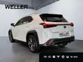 Lexus UX 300h F SPORT Design *LED*Kamera*SHZ*PDC v+h* Weiß - thumbnail 7