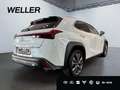 Lexus UX 300h F SPORT Design *LED*Kamera*SHZ*PDC v+h* Weiß - thumbnail 17