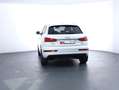 Audi Q3 2.0 TDI quattro intense + Weiß - thumbnail 6