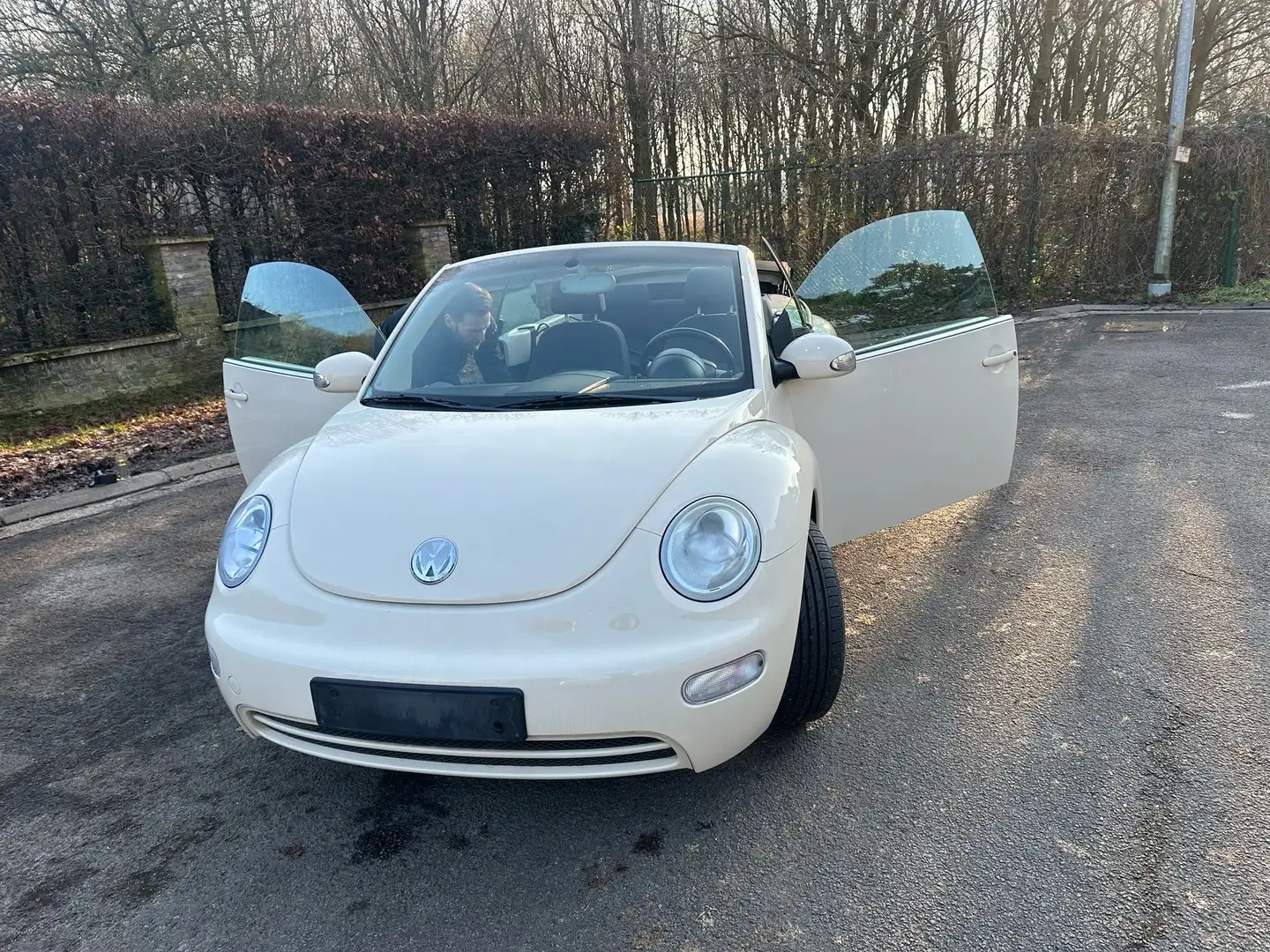 Volkswagen Beetle VW New Beetle Cabrio Alb - 2