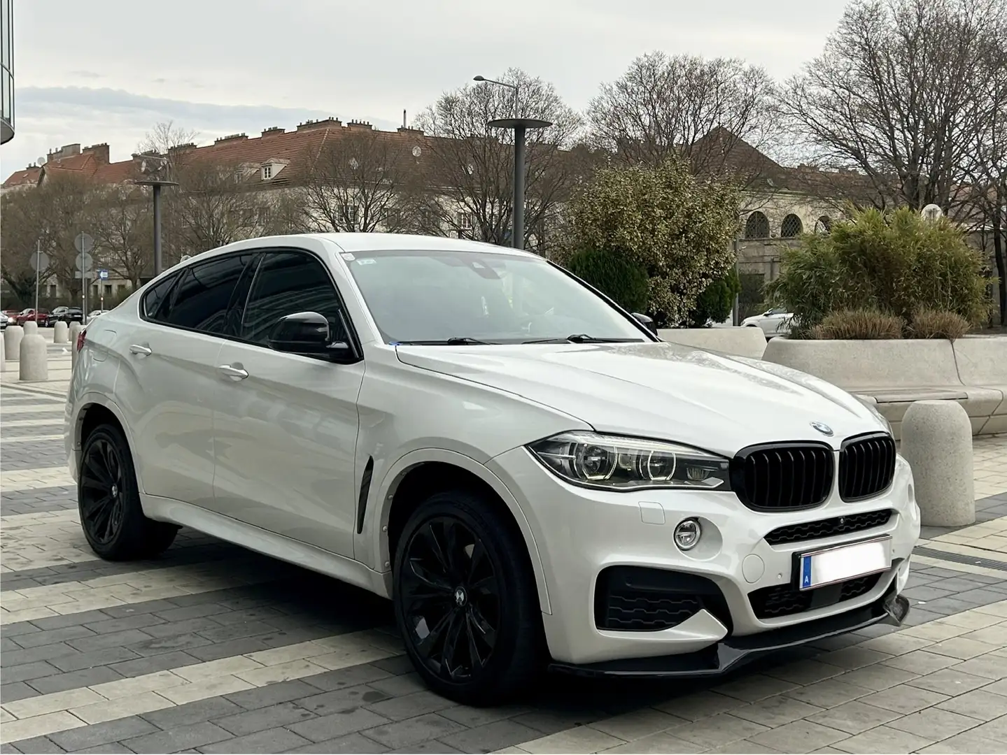 BMW X6 xDrive 30 d M PAKET ÖAMTC PICKERL Weiß - 2