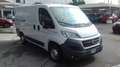 Fiat Ducato 35CH1 PASSO CORTO TETTO BASSO 2.3MJT 130CV ATTREZ Wit - thumbnail 1