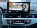 Audi A4 allroad A4 Allroad Quattro 40 2.0 tdi mhev 204cv s-tronic Grijs - thumbnail 13