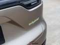 Porsche Cayenne E-Hybrid-PANO-360-SOFTCL-NIGHTVIS-ACC-BURMESTER Oro - thumbnail 8