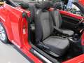 Volkswagen Beetle Cabriolet 1.2 TSI Design Automaat DSG-7 Airco-ecc Rood - thumbnail 29