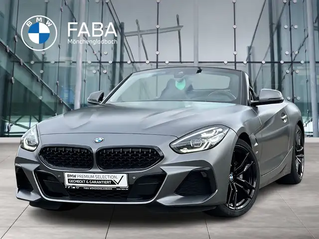 BMW Z4 sDrive20i M Sport HiFi DAB WLAN RFK Tempomat