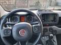 Fiat Panda Panda III 1.0 firefly hybrid City Life Cromo 2023 Grigio - thumbnail 11