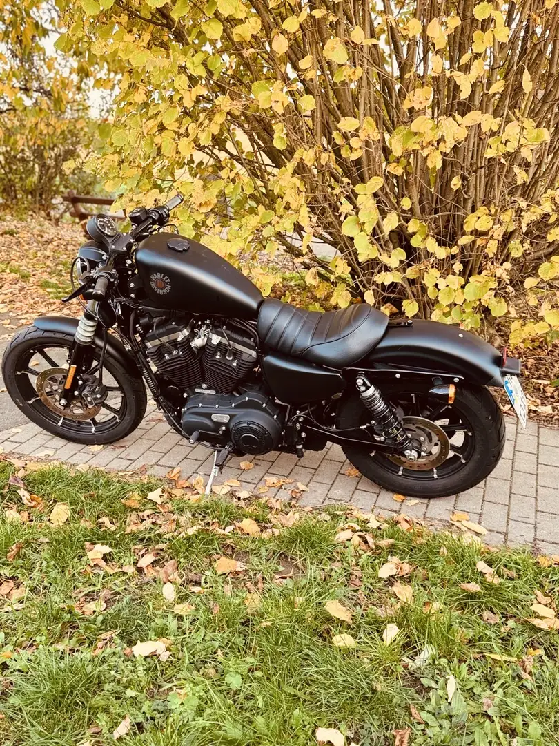 Harley-Davidson Iron 883 Sportster Jekill + Hyde Чорний - 2