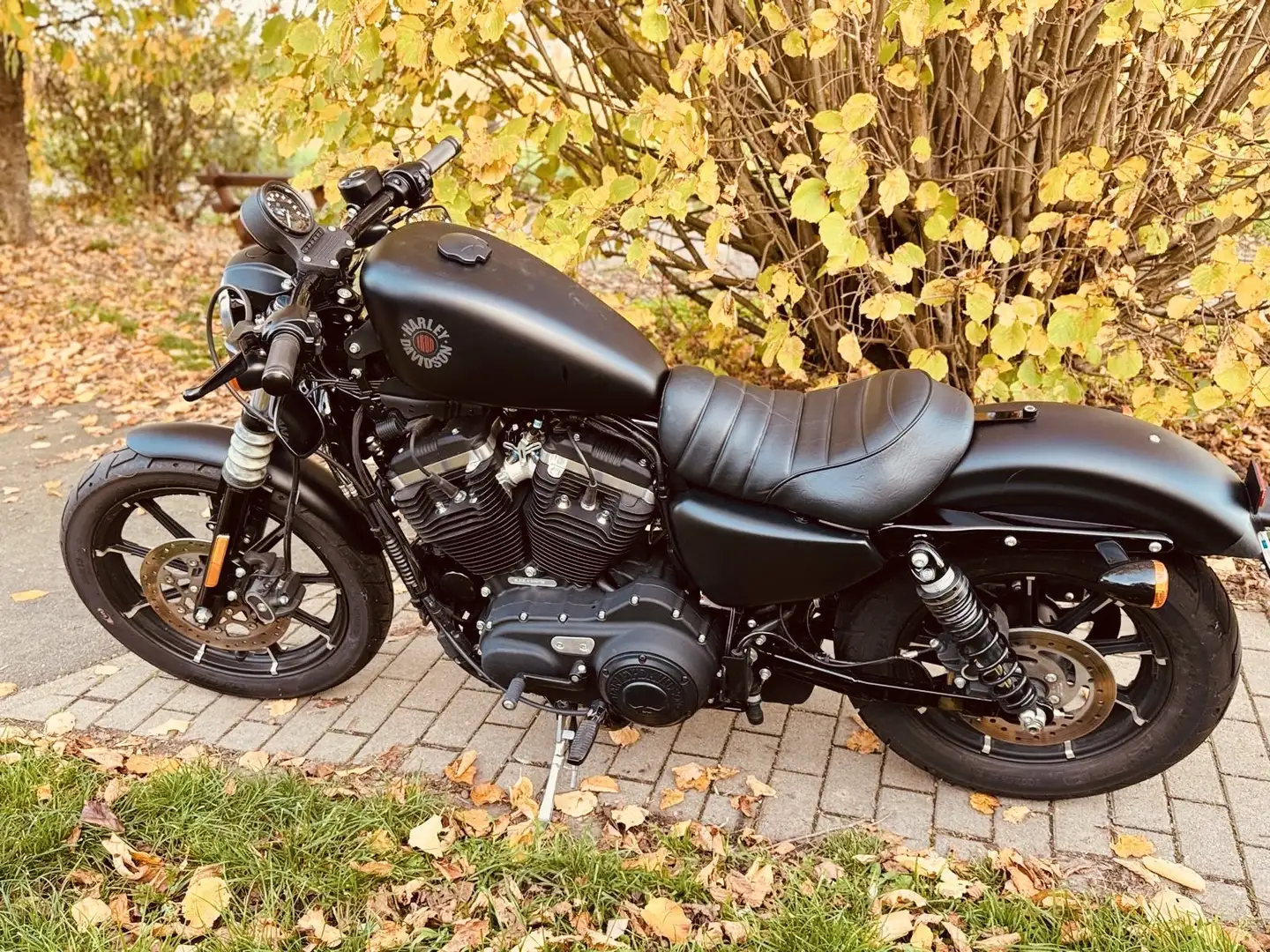 Harley-Davidson Iron 883 Sportster Jekill + Hyde Чорний - 1