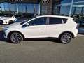 Hyundai BAYON GO Plus 1.0 T-GDI y5bu2 Bianco - thumbnail 2