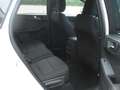 Ford Kuga ST-Line Wit - thumbnail 5