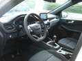 Ford Kuga ST-Line Wit - thumbnail 11
