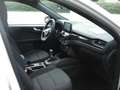 Ford Kuga ST-Line Wit - thumbnail 4