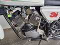 Moto Morini 3 1/2 Sport in einen phantastischen Zustand Білий - thumbnail 10