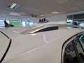 Volkswagen Tiguan 1.5 TSI R-LINE LED+PANO+AHK+NAVI+SITZHZG+ Wit - thumbnail 22