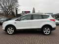 Ford Kuga Sync Edition*TÜV NEU*GARANTIE*1.HAND* bijela - thumbnail 4