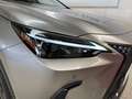 Lexus NX 350h Premium+ 2.5 4wd e-cvt cambio auto-LEGGI SOTTO Argento - thumbnail 11