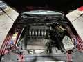 Alfa Romeo 164 3.0 V6 24V Q4 (Allrad) Rouge - thumbnail 20