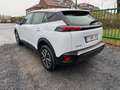 Peugeot 2008 Style Weiß - thumbnail 4