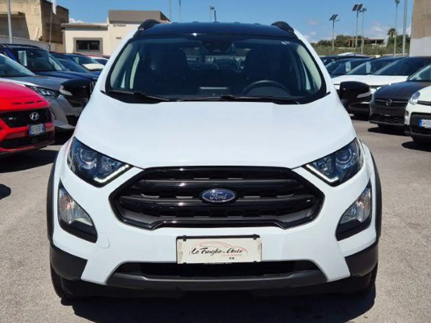 Ford EcoSport EcoSport 1.0 ecoboost Active s Blanc - 2