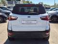 Ford EcoSport EcoSport 1.0 ecoboost Active s Blanc - thumbnail 5