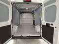 Toyota Proace Max 35+ L3H2 2.2 ID 140 HD Prowork Weiß - thumbnail 12