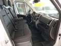 Toyota Proace Max 35+ L3H2 2.2 ID 140 HD Prowork Weiß - thumbnail 14