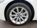 BMW 525 525 d Weiß - thumbnail 17