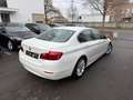 BMW 525 525 d Weiß - thumbnail 4