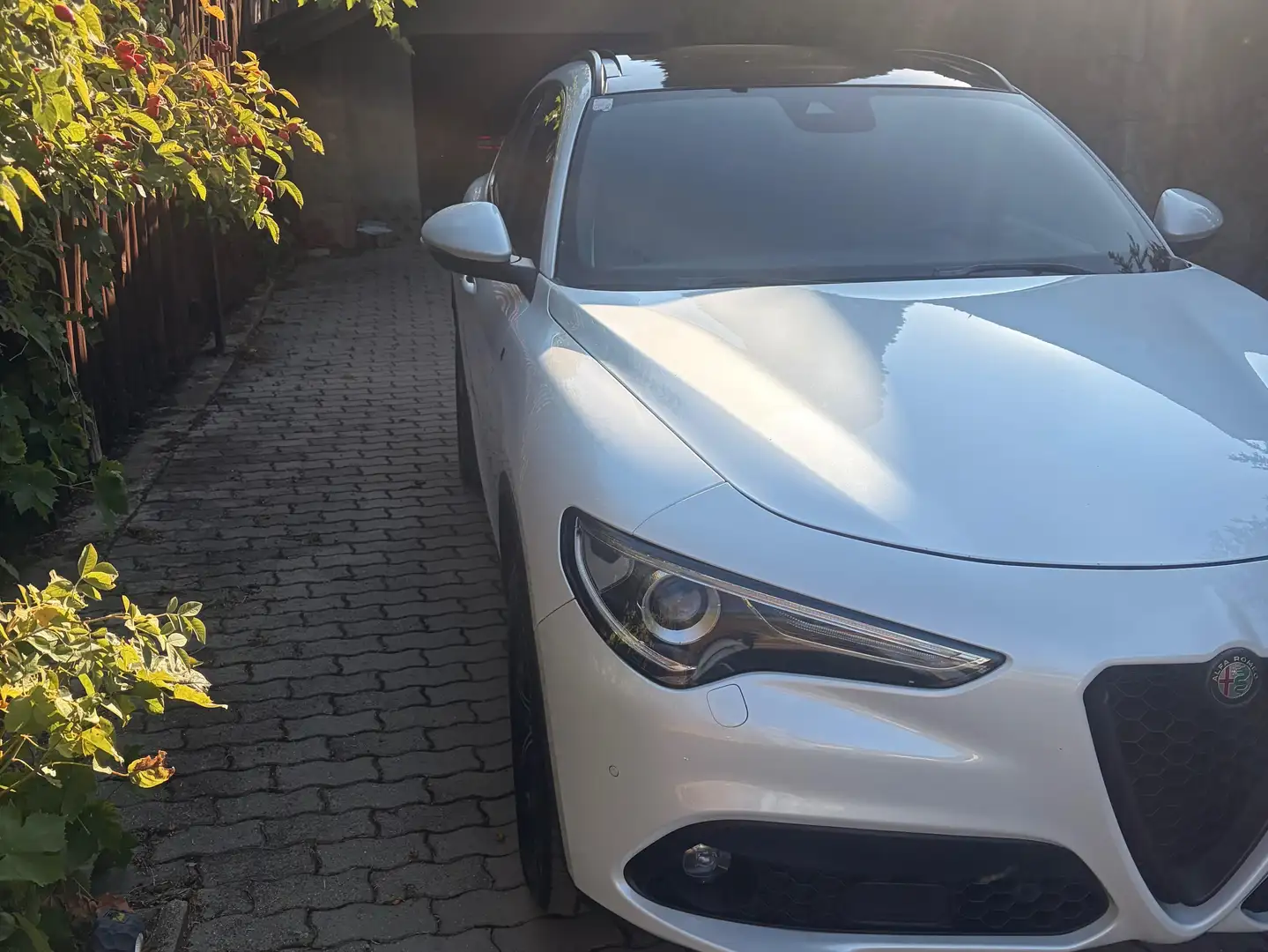 Alfa Romeo Stelvio Stelvio Super 2,2 ATX AWD Super Weiß - 2