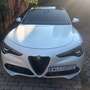 Alfa Romeo Stelvio Stelvio Super 2,2 ATX AWD Super Weiß - thumbnail 1