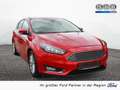 Ford Focus Titanium 1.0l EcoBoost NAVI LENKRADHZ. Rot - thumbnail 1