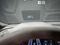 Audi RS Q8 TFSI quattro tiptronic Azul - thumbnail 38