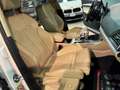 Audi Q5 Sportback SPB TDI Pelle Cerchi 20 Luci ambient Bianco - thumbnail 13