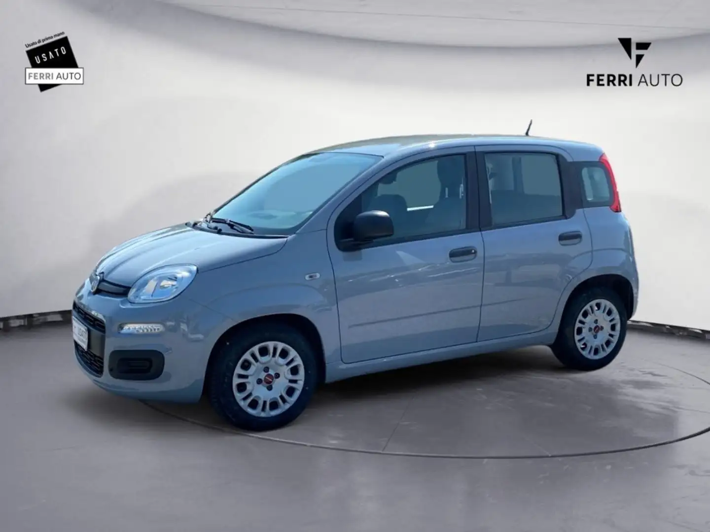 Fiat Panda 1.0 FireFly S&S Hybrid Grigio - 2